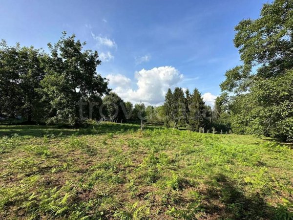 terreno agricolo in vendita a Rocca Priora