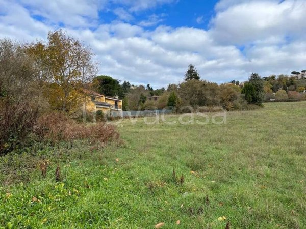 terreno agricolo in vendita a Rocca Priora