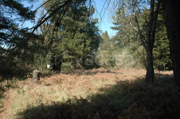 terreno agricolo in vendita a Rocca Priora