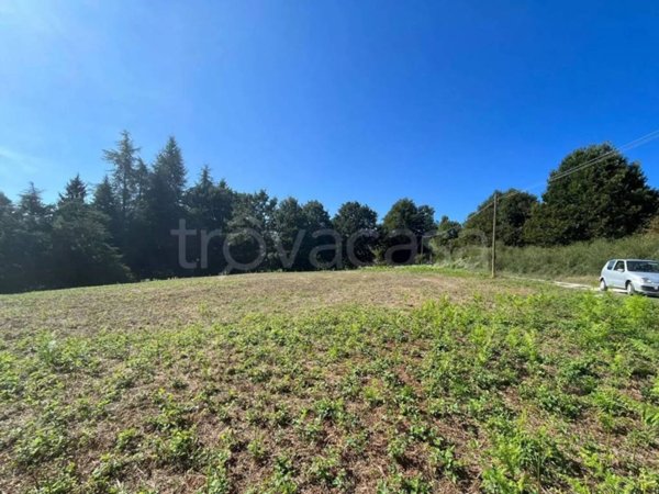 terreno agricolo in vendita a Rocca Priora