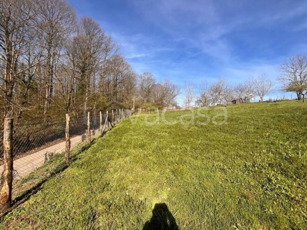 terreno agricolo in vendita a Rocca Priora