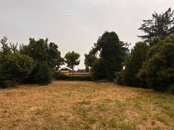 terreno agricolo in vendita a Rocca Priora
