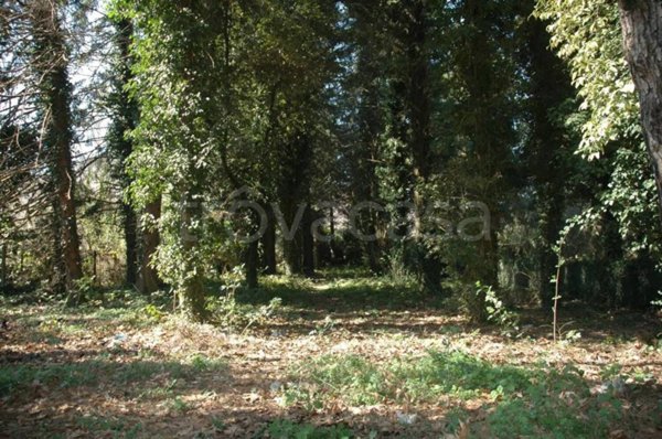 terreno agricolo in vendita a Rocca Priora