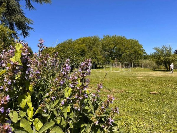 terreno agricolo in vendita a Rocca Priora