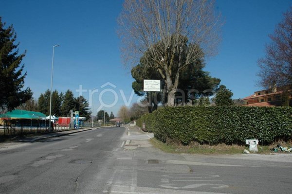 terreno agricolo in vendita a Rocca Priora