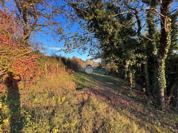 terreno agricolo in vendita a Rocca Priora