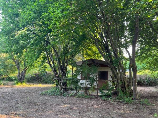 appartamento in vendita a Rocca Priora