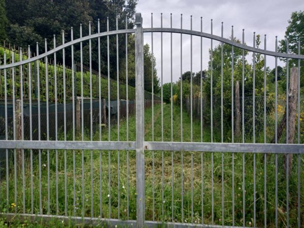 terreno agricolo in vendita a Rocca Priora