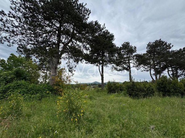terreno agricolo in vendita a Rocca Priora