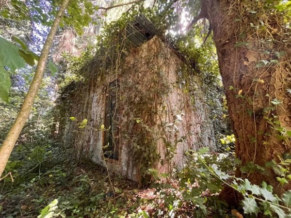 casa indipendente in vendita a Rocca Priora
