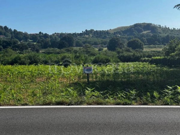 terreno agricolo in vendita a Rocca Priora