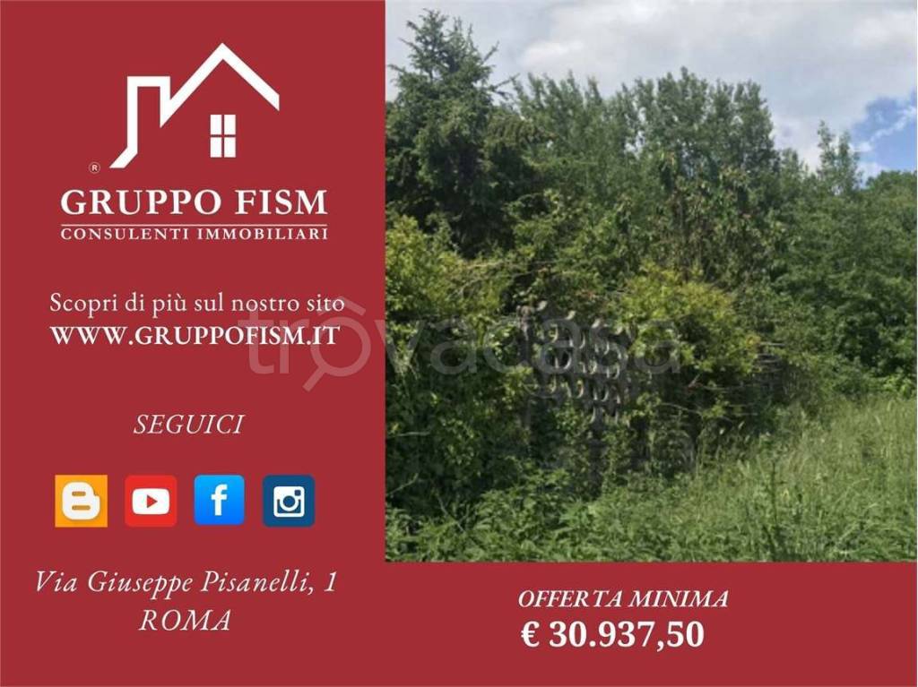 terreno agricolo in vendita a Rocca Priora