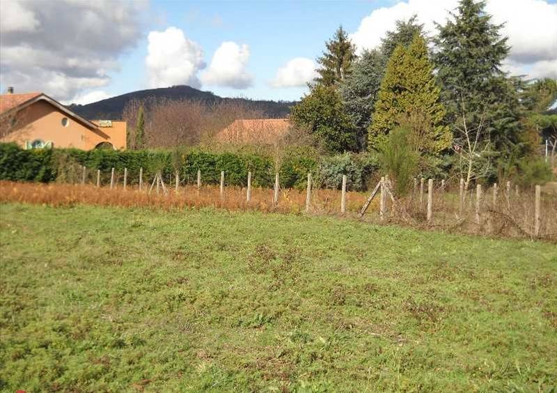 terreno agricolo in vendita a Rocca Priora