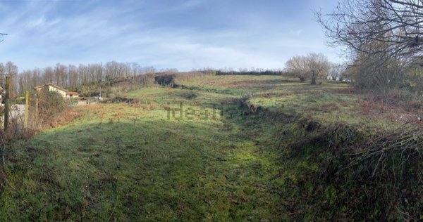 terreno agricolo in vendita a Rocca Priora