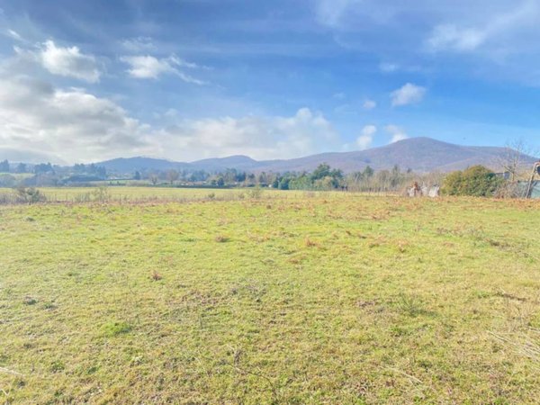 terreno agricolo in vendita a Rocca Priora