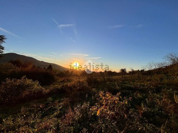 terreno agricolo in vendita a Rocca Priora