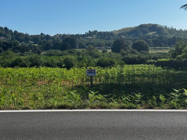 terreno agricolo in vendita a Rocca Priora