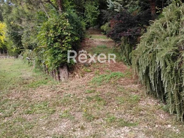 terreno agricolo in vendita a Rocca Priora
