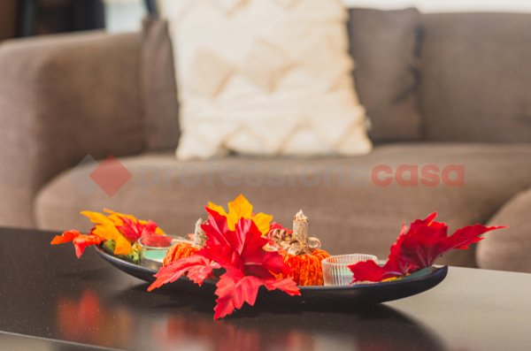 casa indipendente in vendita a Rocca Priora