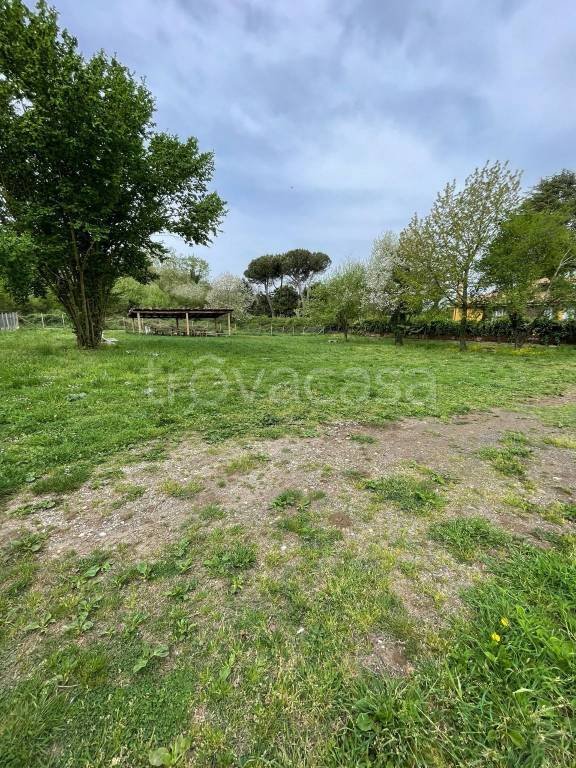 terreno agricolo in vendita a Rocca Priora