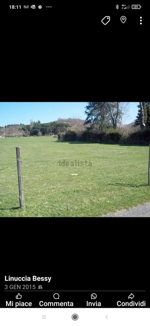 terreno agricolo in vendita a Rocca Priora