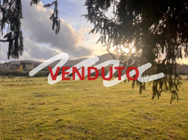 terreno agricolo in vendita a Rocca Priora