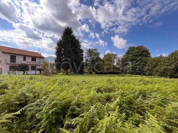 terreno agricolo in vendita a Rocca Priora