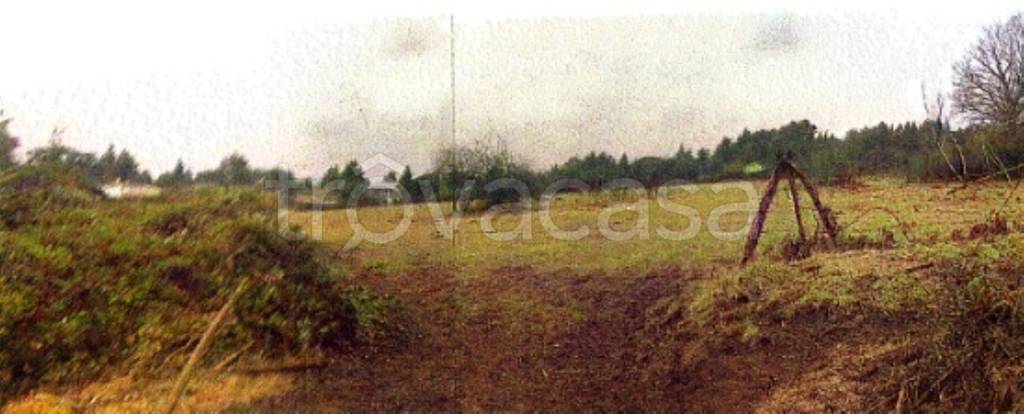 terreno agricolo in vendita a Rocca Priora