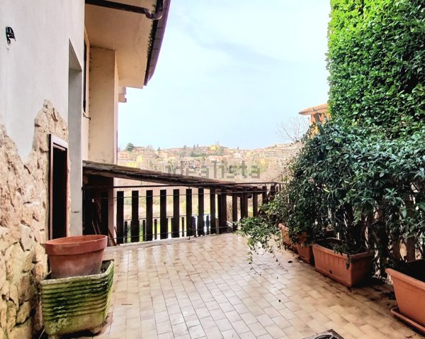 esavano in vendita a Rocca Priora