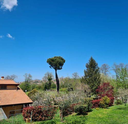 casa indipendente in vendita a Rocca Priora