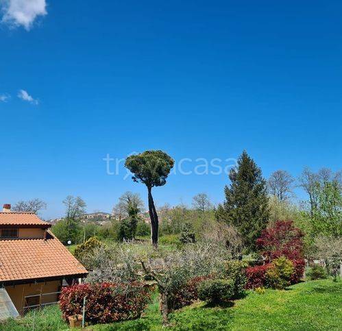 casa indipendente in vendita a Rocca Priora