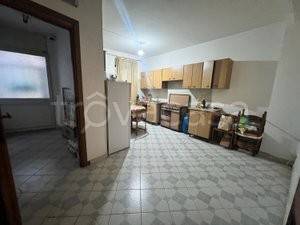 negozio in vendita a Rocca Priora