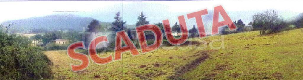 terreno edificabile in vendita a Rocca Priora