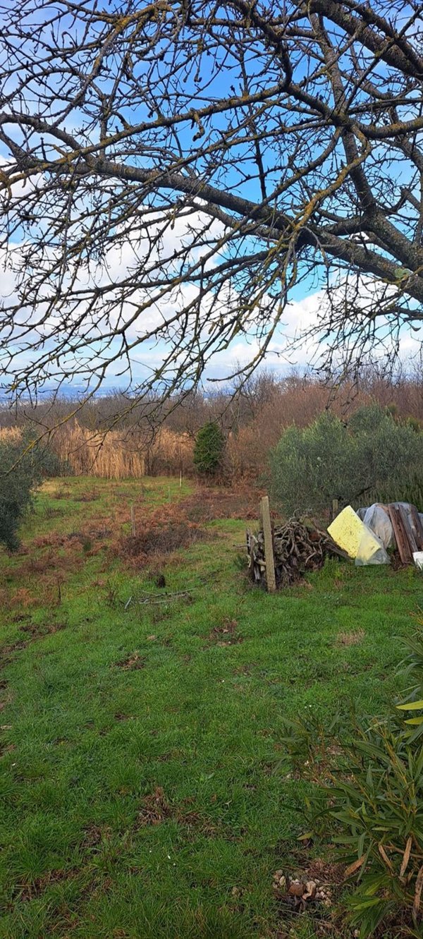 terreno agricolo in vendita a Rocca Priora