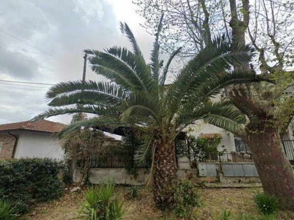 appartamento in vendita a Rocca Priora in zona Colle di Fuori