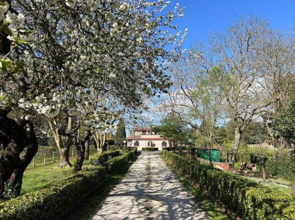 casa indipendente in vendita a Rocca Priora