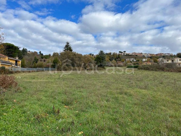 terreno agricolo in vendita a Rocca Priora