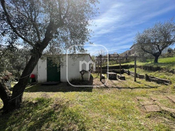 casa indipendente in vendita a Rocca Priora in zona Colle di Fuori