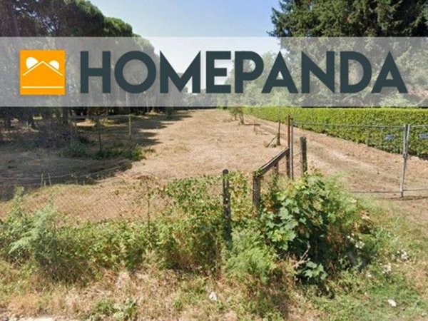terreno agricolo in vendita a Rocca Priora