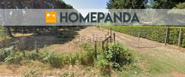 terreno agricolo in vendita a Rocca Priora