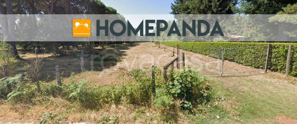 terreno agricolo in vendita a Rocca Priora