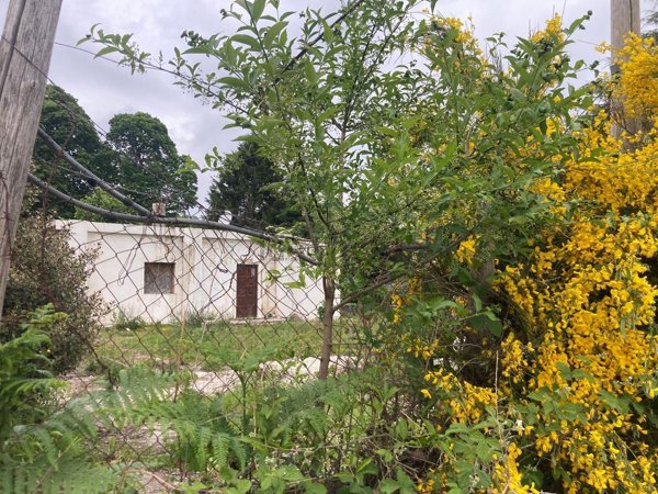 casa indipendente in vendita a Rocca Priora
