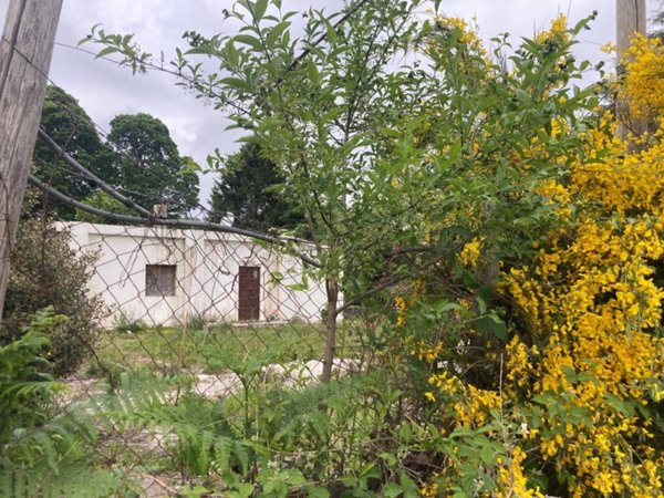 casa indipendente in vendita a Rocca Priora