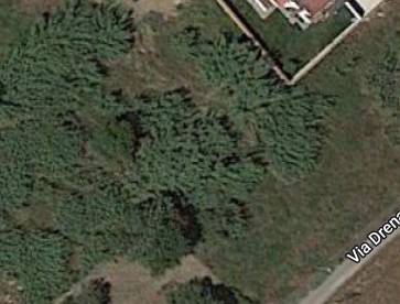 terreno agricolo in vendita a Roma in zona Infernetto
