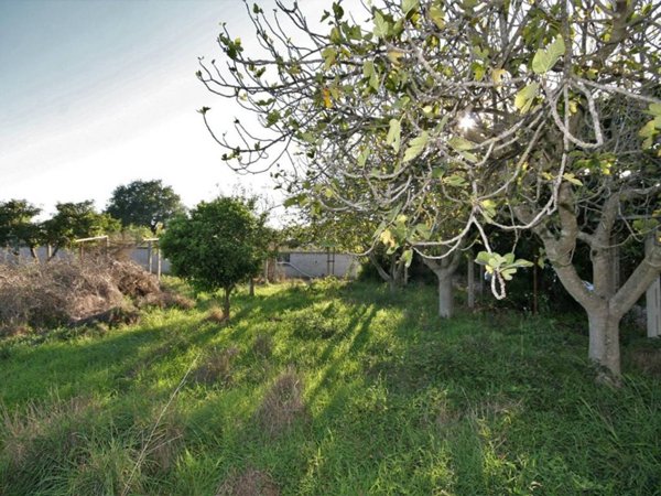 terreno agricolo in vendita a Roma in zona Infernetto