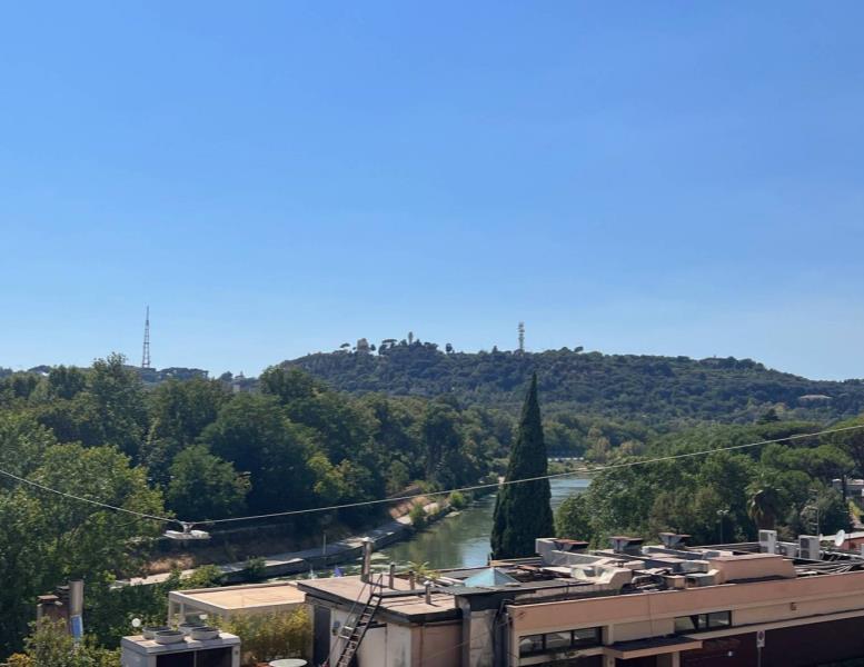 appartamento in vendita a Roma in zona Flaminio