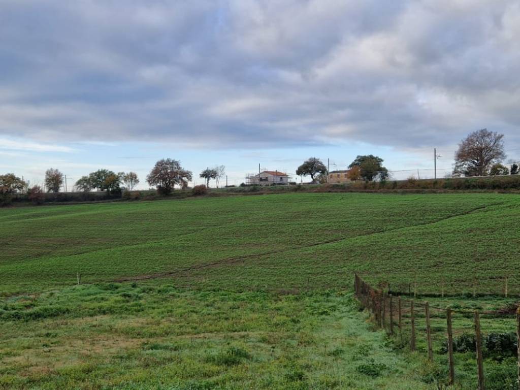 terreno agricolo in vendita a Roma in zona Valle Muricana