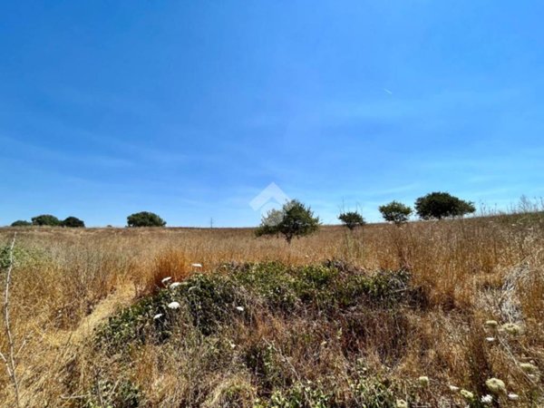 terreno agricolo in vendita a Roma in zona Trigoria
