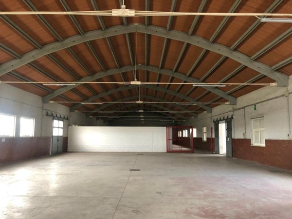 appartamento in vendita a Roma in zona Giuliano Dalmata