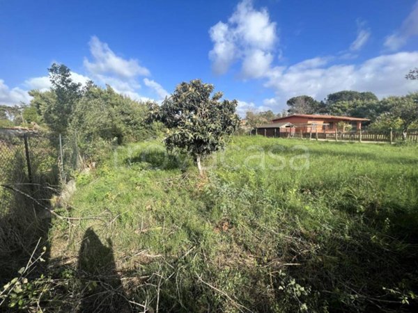 terreno agricolo in vendita a Roma in zona Infernetto